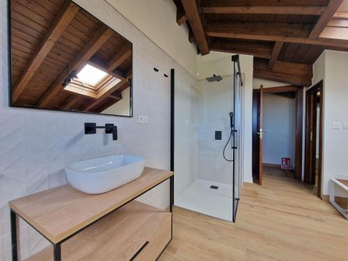 博迪利奈斯Apartamento en Poo de Llanes的一间带水槽和淋浴的浴室