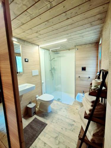 蒙苏姆马诺Glamping Suite Rosso Baccara的浴室配有卫生间、盥洗盆和淋浴。