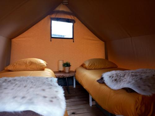 蒂尔Safari Lodge Aan de Linge的带窗户的帐篷内带两张床的房间