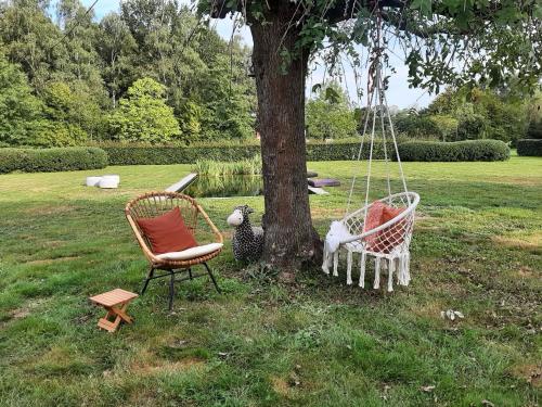 TessenderloB&B De Levensboom的两把椅子和一只鸡坐在树旁