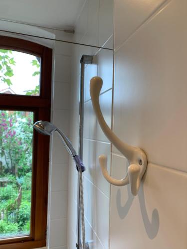 策勒Gästehaus EinsA的靠窗的浴室里的一个淋浴头