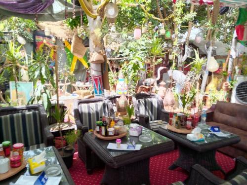 卢克索peace garden hostel & camp的一间房间,两张桌子,上面有植物