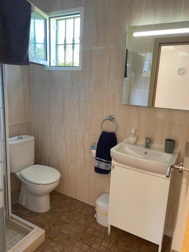 阿尔豪林德拉托里Villa Vanessa的一间带卫生间、水槽和镜子的浴室