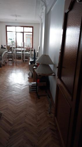 伊斯坦布尔Flat Kavisli的一间铺有木地板的客房和一扇门