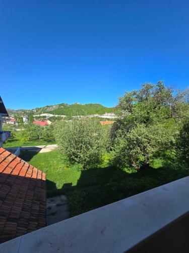 采蒂涅Apartman AURORA CETINJE的享有屋顶上树木庭院的景色