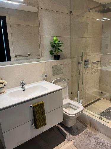 阿克拉The Lennox by Luxe Properties的一间带水槽、卫生间和淋浴的浴室