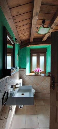 La Cabaña的一间带水槽和绿色墙壁的浴室
