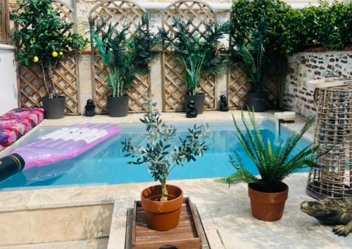 阿让Maison JoSaRa Agen, logement de 1 à 4 chambres, piscine et rooftop, centre ville proche gare的旁边是种盆栽植物的游泳池