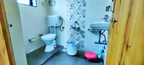 纳西克TULSI VILLA- The Holiday Home的一间带卫生间和水槽的浴室