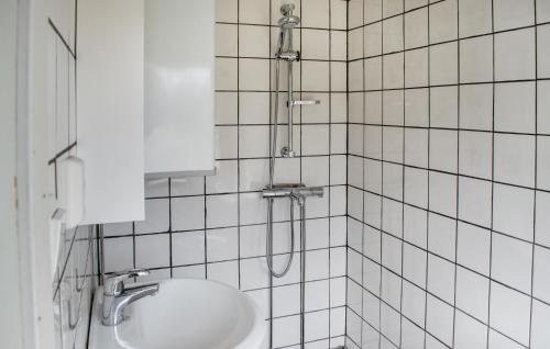 Magnor2 Bedroom Stunning Home In Skotterud的带淋浴和盥洗盆的浴室