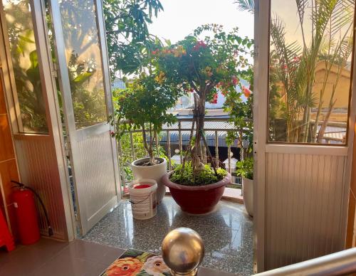 隆海LAN168的一间种植了盆栽植物的房间和玻璃门