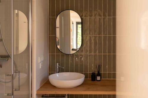 伊皮Fred I Tiny House op de Veluwe的浴室设有大型白色水槽和镜子