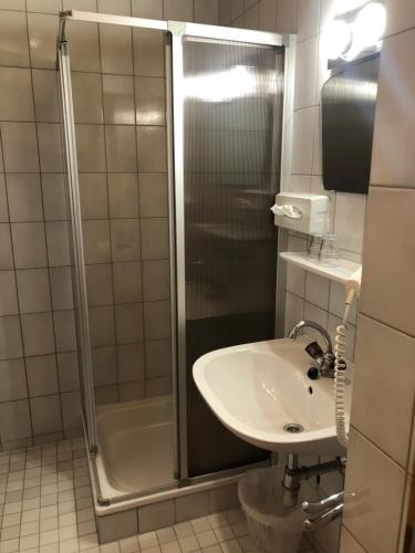拉肯霍夫Hotel Ötscherblick的一间带水槽和淋浴的浴室