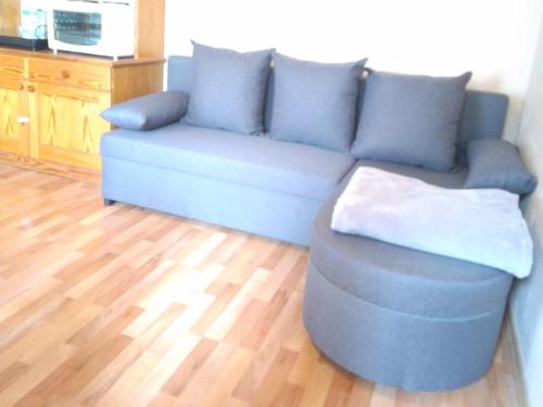 Sankt Primus am TurnerseeFerienwohnung Pezi的客厅铺有木地板,配有蓝色沙发。
