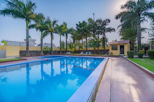 索拉哈七星酒店的一座拥有蓝色海水和棕榈树的游泳池
