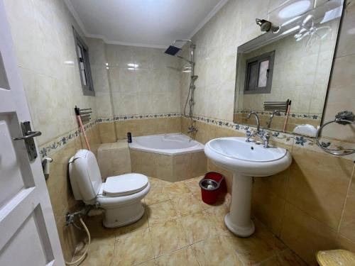 开罗Cairo's Heart Central Apartment in Masr El Gedida的浴室配有卫生间、盥洗盆和浴缸。