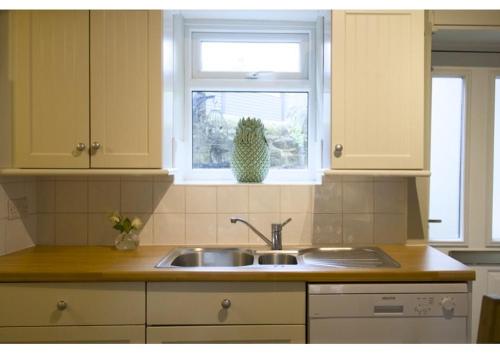 巴斯洛The Beeches - Chatsworth Apartment No 1 - Sleeps 2的厨房设有水槽和窗户。