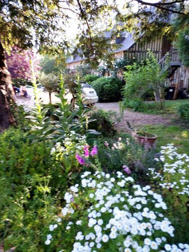 Les Authieux-sur-CalonneLa CHARETTERIE Gites du Manoir de La Porte的庭院里种有白色和紫色花的花园