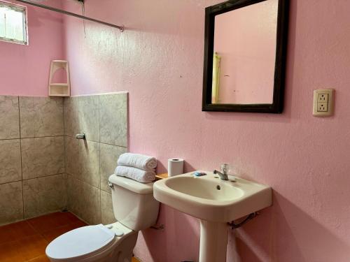 福尔图纳Cabinas Las Palmas del Sol的一间带水槽、卫生间和镜子的浴室