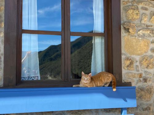 Cabezón de LiébanaApartamentos Calm & Nature en Liebana的坐在窗台上的橙色猫