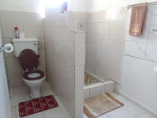 马翁Maun self catering accommodation的一间带卫生间和淋浴的浴室