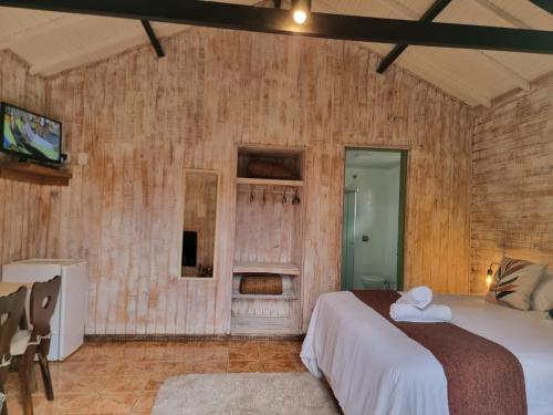 蒙特韦尔迪Pousada Brisa da Mantiqueira的一间卧室设有木墙、一张床和电视。