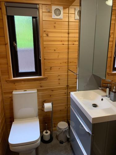 格伦德文Corrie Lodge, Glendevon的一间带卫生间和水槽的小浴室