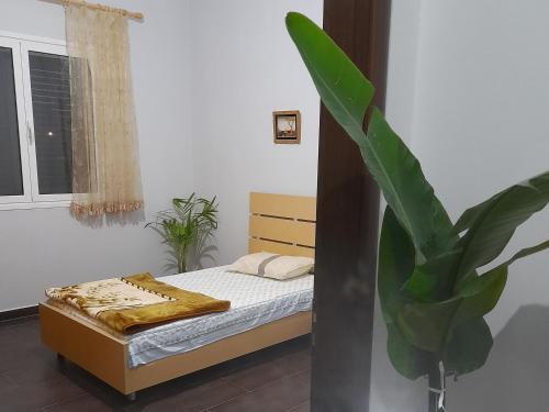培拉特A&A House的一间卧室配有一张床和盆栽植物