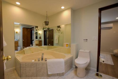 The Edamame House的带浴缸和卫生间的大型浴室