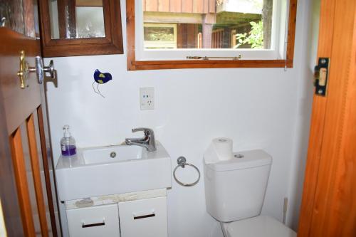 凯库拉迪伦山林小屋的一间带卫生间、水槽和窗户的浴室