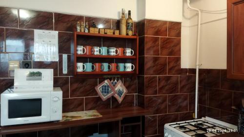 新里斯拉Lucky Cat的厨房配有微波炉和带杯子的吧台。