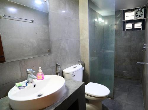 达卡Xpressmall Hotel near Dhaka Airport的一间带水槽、卫生间和淋浴的浴室