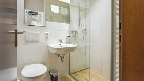 哈尔布莱希Hotel Casa Maria的浴室配有卫生间、盥洗盆和淋浴。