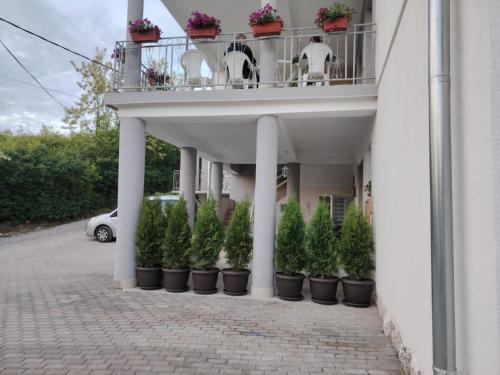 索科矿泉村Apartmani Ruj的建筑一侧种植盆栽植物的阳台
