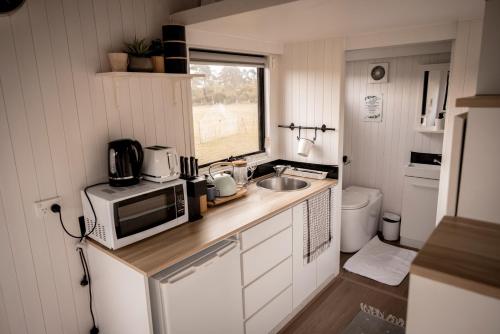 塞斯诺克Odyssean Tiny House B的带微波炉和水槽的小厨房