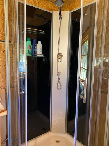 ReiuReiu majake的浴室里设有玻璃门淋浴