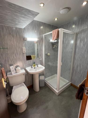 威廉堡斯容切雷根美景旅馆的浴室配有卫生间、淋浴和盥洗盆。