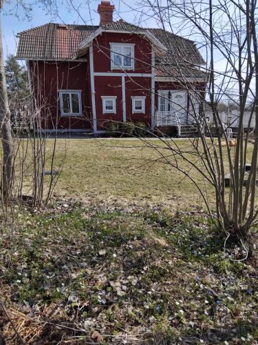 Röda villan的一座红房子,有草地和一棵树
