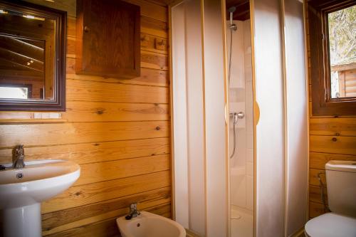 阿兰约兹Aranjuez Camping & Bungalows的一间带水槽、卫生间和淋浴的浴室
