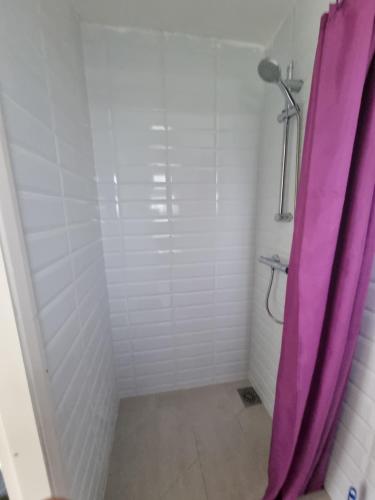 依尔福ilford town house的一间带紫色淋浴帘的淋浴的浴室