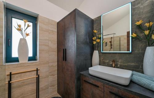 瓦拉日丁Gorgeous Home In Puscine With Sauna的一间带水槽和镜子的浴室