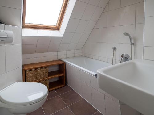 斯匹科罗格Alte Wäscherei的浴室配有卫生间、浴缸和水槽。