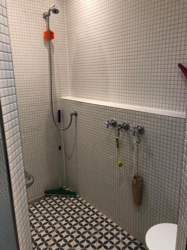 斯图加特Zimmer mit Parkblick的带淋浴、卫生间和盥洗盆的浴室