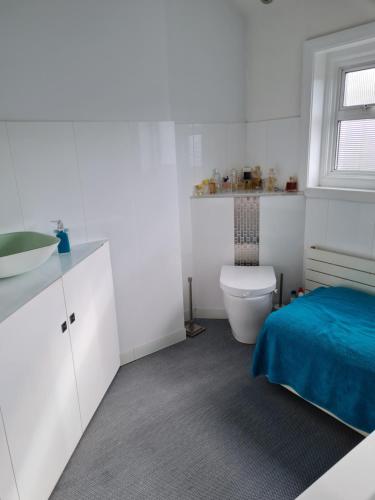 布罗姆利SERENITY的白色的浴室设有卫生间和水槽。