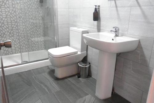 诺丁汉Claremont Hotel的浴室配有卫生间、盥洗盆和淋浴。