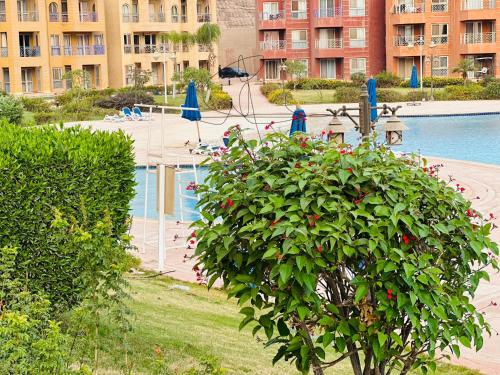 艾因苏赫纳Porto Sokhna Water Front Resort的一座带游泳池的建筑前的灌木丛