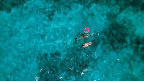 伯利兹城Casa Al Mar, St. George's Caye - Belize的海滩球在水中的人的头顶景色