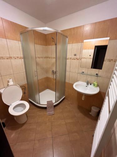 赫鲁迪姆Penzion Krmelec的带淋浴、卫生间和盥洗盆的浴室