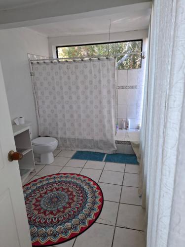 奇廉Alojamiento Céntrico 24 hrs. con estacionamiento的带淋浴和卫生间的浴室以及地毯。