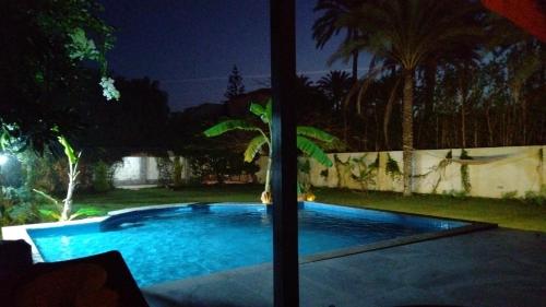 Qaryat ShākūshTwo pools private villa for families.的游泳池在晚上,四周环绕着棕榈树